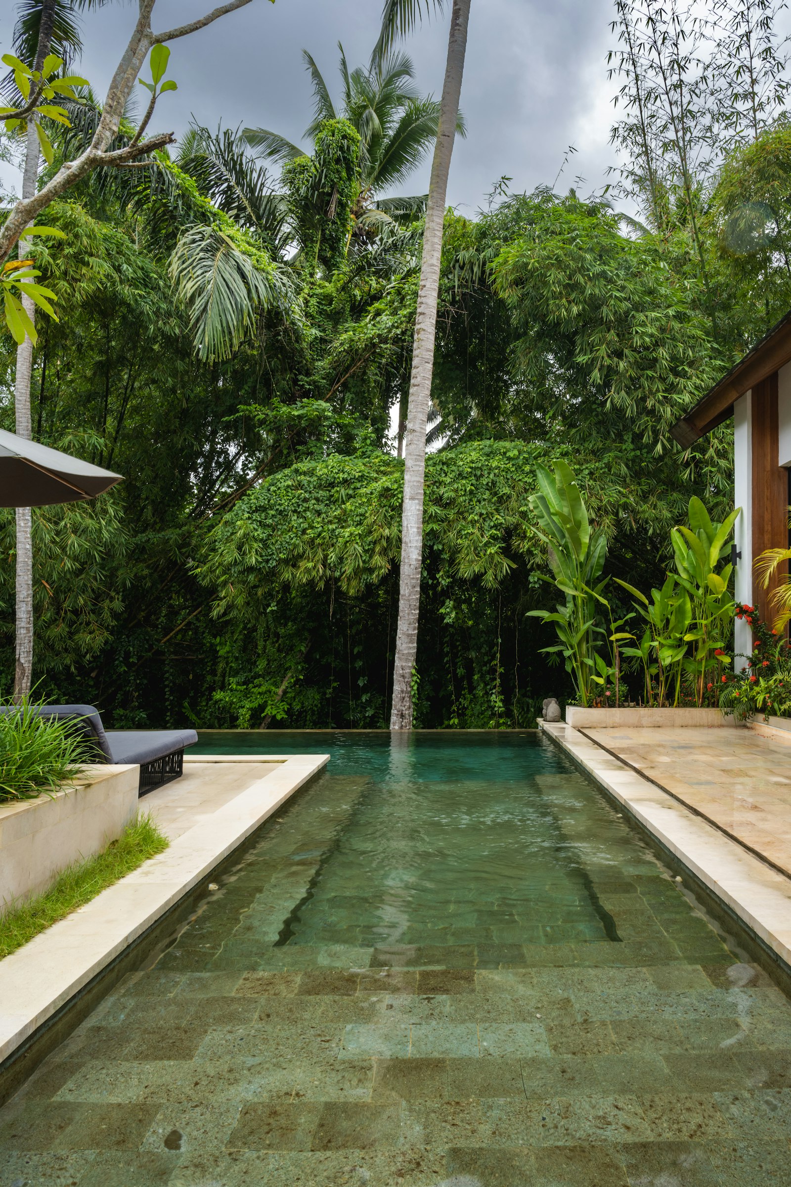 A long pool in the middle of a lush green yard